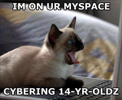 myspacecat.jpg