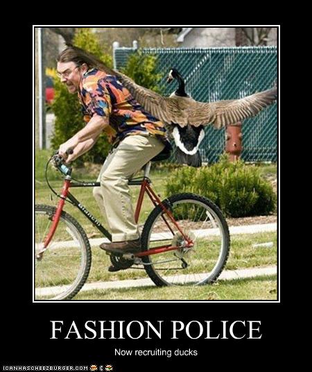 funny-pictures-duck-is-member-of-fashion-police.jpg