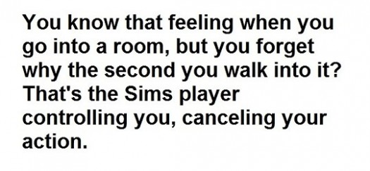 funny-The-Sims-real-life-525x243.jpg