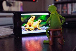 Frog Porn.jpg
